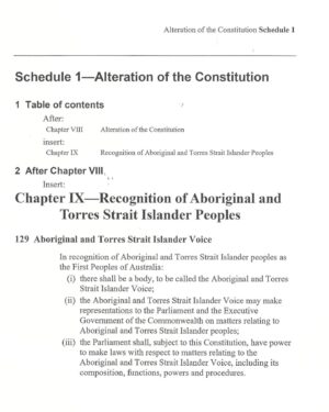 Yael Stone Instagram - I’ll be voting YES. You can view the relevant page of the writ and proposed law by swiping right…👉