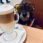 Yamila Reyna Instagram – Nuestros domingos ♥️
@elchangoernes 🐾

Cuál es su mejor panorama con sus mascotas?
Los leemos 🐶🤓
