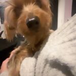 Yamila Reyna Instagram – El es Tayson, el primo de don Ernesto. Parece que no lo quiere mucho😂

Y TÚ, ¿CÓMO TE LLEVAS CON TUS PRIMOS? 🙄
 
📲 Etiqueta a tu primo favorito!