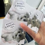 Yang Hye-ji Instagram - 이나나 사랑해💕🥹 민이 스티커라니이이이이ㅣ잉😍