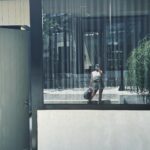 Yassi Pressman Instagram - that work life balance ~