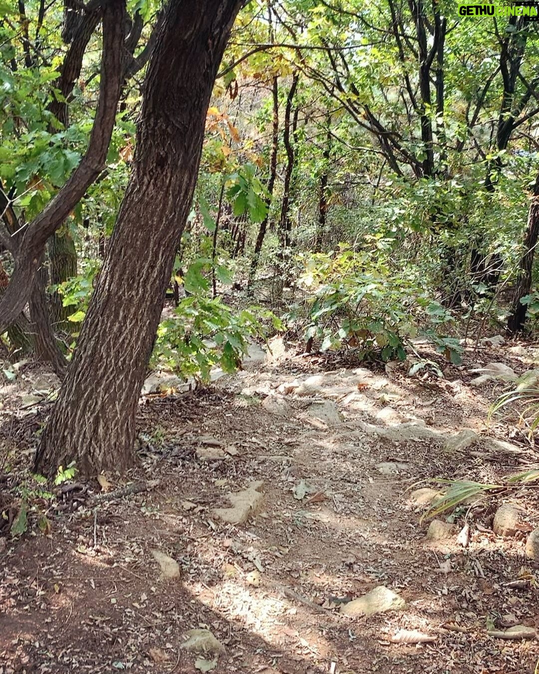 Yeo Joo-ha Instagram - Things that caught my interest N the moments which how i sent this fall