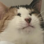 Yeon-woo Instagram -