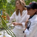 Yolanda Andrade Instagram - ¡Nuestra Tierra Bendita y Generosa! 🍅 Campos Agrícolas. #yosoysinaloa