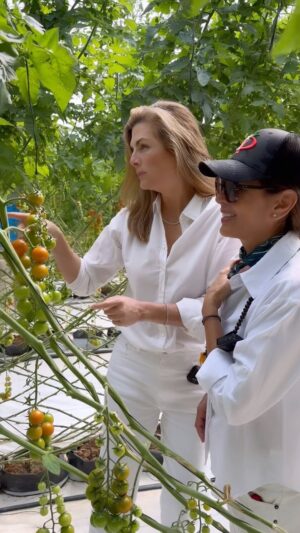Yolanda Andrade Instagram - ¡Nuestra Tierra Bendita y Generosa! 🍅
Campos Agrícolas.
#yosoysinaloa