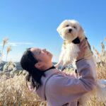 Yoon Bo-mi Instagram - 설탕아웃...웃어바....❤️