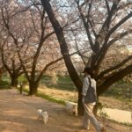 Yoon Bo-mi Instagram - 🐚🐶🌸🫶😊