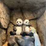 Yoon Bo-mi Instagram - 🐼❤️