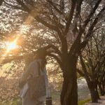 Yoon Bo-mi Instagram - 🐚🐶🌸🫶😊