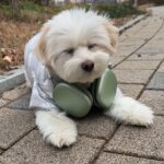 Yoon Bo-mi Instagram - 두랍더비뜨😎🤘🎧
