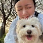 Yoon Bo-mi Instagram - 설탕아벚꽃보러같이가줘서고마워🫶🌸