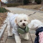 Yoon Bo-mi Instagram - 두랍더비뜨😎🤘🎧