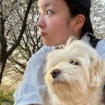 Yoon Bo-mi Instagram - 설탕아벚꽃보러같이가줘서고마워🫶🌸