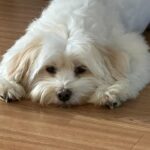 Yoon Bo-mi Instagram - 하.....내....심.....장🥹
