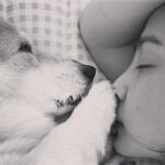 Yoon Seung-ah Instagram - 🩵 지구의 날_조금 더 아끼고 사랑하면 좋겠다. 아이슬란드 아이슬란드의 밤 레이카비크 라일락 좋아하는 노을 보고싶은 밤비 우리 틴틴이 머리 무슨일? 동안 부 _아프지마 생긴거랑 다르게 마이웨이 좋은것 만 보여주고 싶은 우리집 제일 귀여운 애 🩵