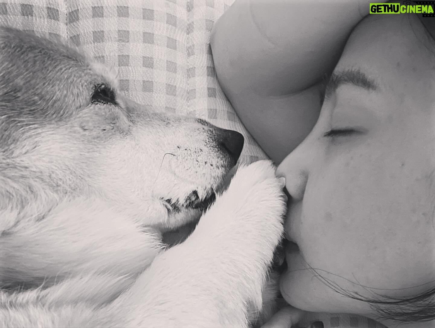 Yoon Seung-ah Instagram - ๐ฉต ์ง๊ตฌ์ ๋ _์กฐ๊ธ ๋ ์๋ผ๊ณ ์ฌ๋ํ๋ฉด ์ข๊ฒ ๋ค. ์์ด์ฌ๋๋ ์์ด์ฌ๋๋์ ๋ฐค ๋ ์ด์นด๋นํฌ ๋ผ์ผ๋ฝ ์ข์ํ๋ ๋
ธ์ ๋ณด๊ณ ์ถ์ ๋ฐค๋น ์ฐ๋ฆฌ ํดํด์ด ๋จธ๋ฆฌ ๋ฌด์จ์ผ? ๋์ ๋ถ _์ํ์ง๋ง ์๊ธด๊ฑฐ๋ ๋ค๋ฅด๊ฒ ๋ง์ด์จ์ด ์ข์๊ฒ ๋ง ๋ณด์ฌ์ฃผ๊ณ ์ถ์ ์ฐ๋ฆฌ์ง ์ ์ผ ๊ท์ฌ์ด ์ ๐ฉต