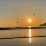 Yu Shirota Instagram - やっぱ海だよね☺︎ #波の音で癒されて下さい #夕日も最高 #所で緑の玉はいったい #撮ってる時は気付かなかった #あやつが会いに来てくれたのかな ? #imissyou