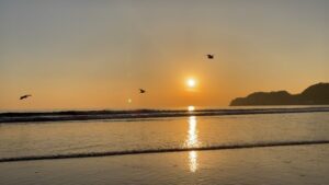 Yu Shirota Instagram - やっぱ海だよね☺︎

#波の音で癒されて下さい #夕日も最高 #所で緑の玉はいったい #撮ってる時は気付かなかった #あやつが会いに来てくれたのかな ?
#imissyou