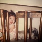 Yu Shirota Instagram - Feliz cumpleaños Lina!! 誕生日おめでとう!! Happy birthday!! pepi!!gracias por crear al angel de nuestra familia 😘 #きゃわたにえん #懐かしの写真一挙公開 #hermana #sister #妹 #我が家のおばあちゃん天使 #familia #family #家族