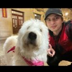 Yu Shirota Instagram - 今年も一年大変お世話になりました！ 良いお年をお迎えください☺︎ #2023 #大晦日 #newyeareve #nochevieja #thankyou #gracias #ありがとう #写真の編集一生できないやないかい