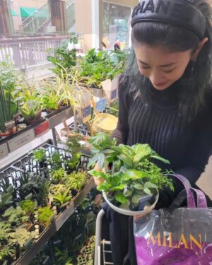 Yu Yamada Instagram - また最近観葉植物にハマり中🪴
緑がある生活って楽しい😍

植え替えの様子を動画撮ってアップできるように頑張りますー！

#ワンピース
@cfcl_official

#コート
@tatras_official

#バッグ
@the_weekend_hotel

#カチューシャ
@chanelofficial