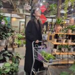 Yu Yamada Instagram - また最近観葉植物にハマり中🪴 緑がある生活って楽しい😍 植え替えの様子を動画撮ってアップできるように頑張りますー！ #ワンピース @cfcl_official #コート @tatras_official #バッグ @the_weekend_hotel #カチューシャ @chanelofficial