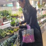 Yu Yamada Instagram - また最近観葉植物にハマり中🪴 緑がある生活って楽しい😍 植え替えの様子を動画撮ってアップできるように頑張りますー！ #ワンピース @cfcl_official #コート @tatras_official #バッグ @the_weekend_hotel #カチューシャ @chanelofficial