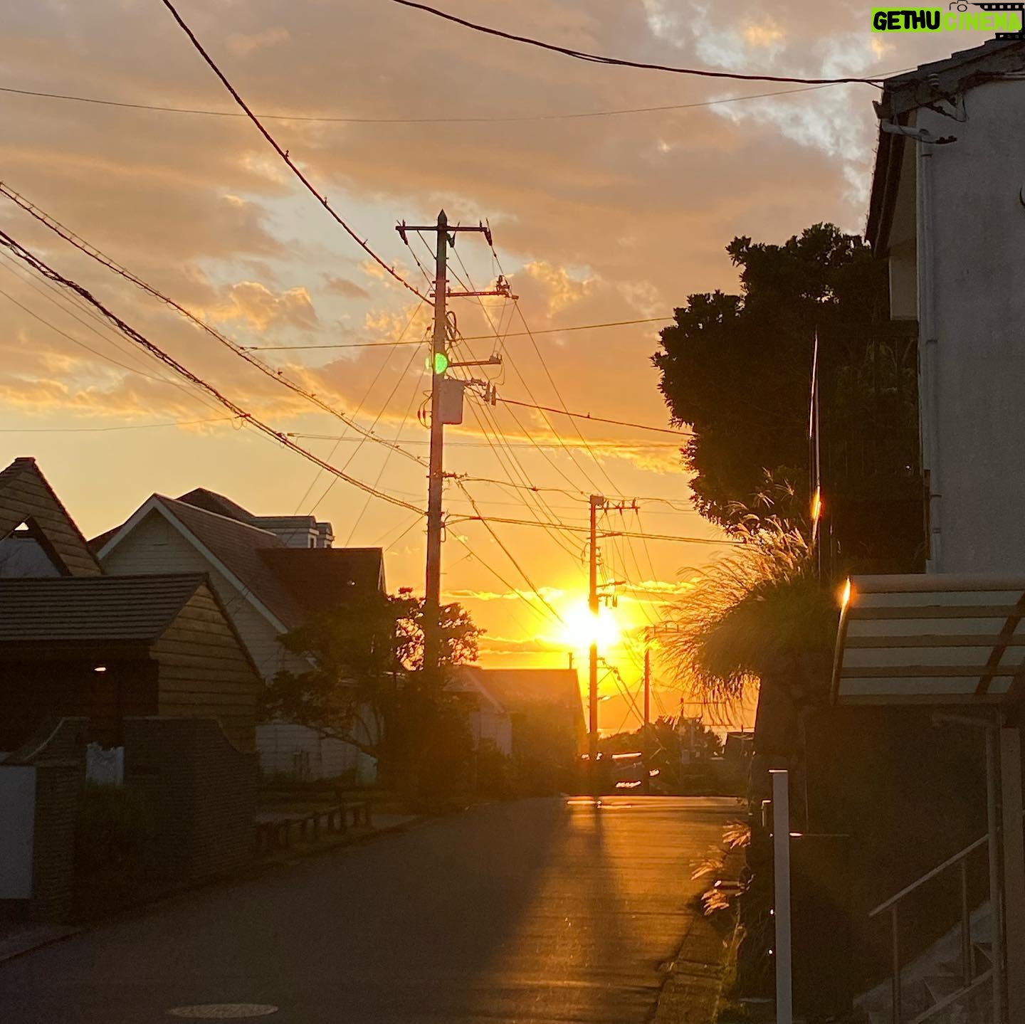 Yuka Itaya Instagram - 忙しいと、ついつい、なことが増えるが 周りの人たちに助けられ、支えられているんだなとしみじみした事柄が重なった、幸せな土曜日。 ありがとうございました。