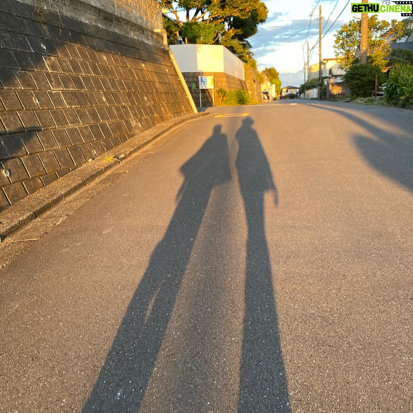 Yuka Itaya Instagram - 忙しいと、ついつい、なことが増えるが 周りの人たちに助けられ、支えられているんだなとしみじみした事柄が重なった、幸せな土曜日。 ありがとうございました。