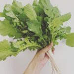 Yuka Itaya Instagram – 久しぶりにゆっくりめの土曜日！
大根の葉ゲットー！
大好きな食材。
忙しい日々、日常がありがたい。
