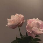 Yuka Itaya Instagram - 低気圧、とても眠たい月曜日 ゆっくりでいっか　 おつかれ、あたし。 大雨になるみたい、気をつけてお過ごしください