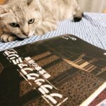 Yuka Itaya Instagram - メイも復讐に燃えている。 準備はできているらしい。 ラストスパートです。 燃えます。　@blackfamilia_ytvdrama