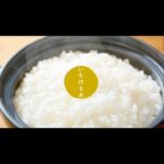 Yuko Oshima Instagram - 日本一美味しい誉れ高きお米”いちほまれ”