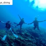 Yuko Oshima Instagram - #repost @sys_diving via @PhotoAroundApp 🐠🐟🐡 この度、スキューバーダイビングのライセンスを心友トリオ3人が取得したということで、スキューバーダイビング同好会を結成しました！！ 活動につきましてはこちらの【SyS diving同好会☺︎】専用アカウントでアップしていきたいと思います！！ お楽しみに〜〜🐠🐟🐡💕 ． ． #scubadiving #diving #心友トリオ #大島優子 #秋元才加 #宮澤佐江 いろんな海潜って いろんな写真を@sys_divingで アップしてきまーす🧜🏻‍♀️ 活動を広げていくつもりです。。。😏 Iriomote Island