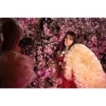 Yuko Oshima Instagram - Tomo Koizumi Collection 2023 蜷川実花さんにひさしぶりに会えた👼🏻 いろいろな種類の桜の前で 撮影して もう春を満たしましたわ🌸 Photo by @packychong