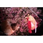 Yuko Oshima Instagram - Tomo Koizumi Collection 2023 蜷川実花さんにひさしぶりに会えた👼🏻 いろいろな種類の桜の前で 撮影して もう春を満たしましたわ🌸 Photo by @packychong