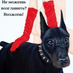 Yuliya Solomonova Instagram – Я согласна с Блиновскою Леной,
Джоном Кехо и феей зубной,
Всё сбывается в этой вселенной,
И она наблюдает за мной. 

Я хочу и карьеру, и внешность,
И вселенная видит запрос.
Только есть небольшая погрешность
Между планом и тем, что сбылось.
 Я мечтала, что парень спортивный
Постучит в мои двери: тук-тук.
Он пришёл и курить запретил мне,
Разогнал моих пьющих подруг.
 Я мечтала о свадьбе на море,
Как у лучших невест на земле,
Быстро кончилась фэшн лав стори,
Но остался кредит на семь лет.
 Ладно с этим кредитом несчастным,
Лишь бы мужа тянуло к жене.
А на деле – наешься борща с ним,
И на прочее сил уже нет.
 И на прочее даже не тянет –
После ужина муж не готов,
Так и спим, обложившись детями,
А проснутся – и снова готовь.

Я мечтала про бизнес в декрете,
Быть онлайн и пописывать в чат,
А реальность – сижу в туалете
С ноутбуком, а дети стучат.

Ожидание – брови на зависть,
И не видно, что это тату,
А реальность – меня повязали
Как шахидку в аэропорту.
 Но потом отпустили, конечно,
Извинились, прислали цветы.
Ну откуда такая погрешность?
Ведь сбываются, вроде мечты!

И живем мы и дети, и мама,
В небольшой, но квартире своей.

Я мечтаю купить добермана,
 Обожаю домашних зверей!

#СолаМонова

ps. Юля это я