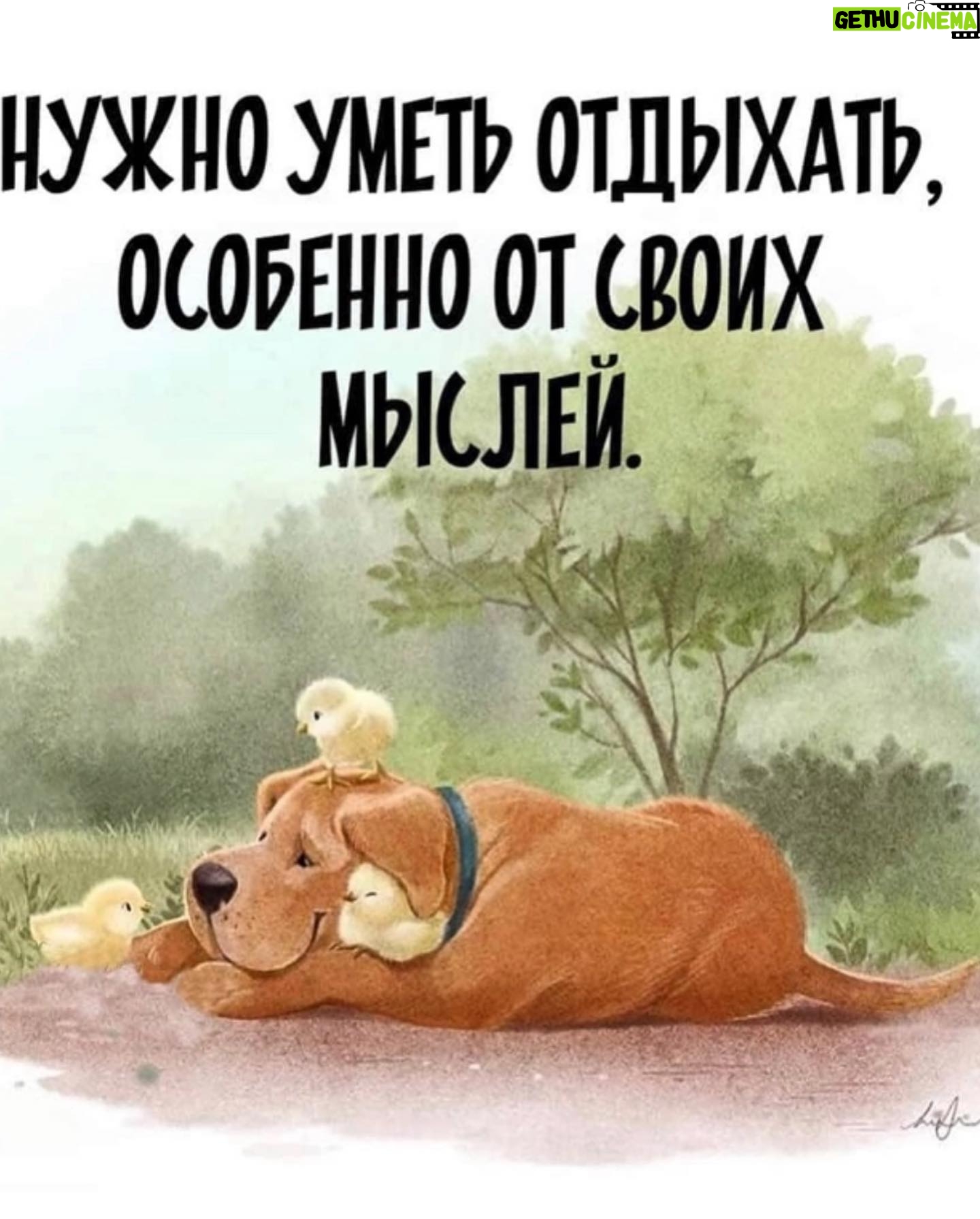 Yuliya Solomonova Instagram - И так наш век на радость скуден, И это видно по стихам, Поэтому давай не будем Переживать по пустякам! Не к месту сказанное слово, Проигранный токсичный спор - Случайный эпизод, но снова Ты делаешь его разбор. Как режиссер - анализ реплик, И как психолог - детских травм… Ночные демоны окрепли И не отпустят до утра. . Терзания самооценки: А если б так? ах если бы… Разбор второстепенной сценки В блокбастере своей судьбы. . Горят оплаченные курсы, Пропущен спорт, запущен быт, Ты не в потоке, не в ресурсе, Ты уничтожен, ты разбит. . Ты хочешь закурить, и виски, И взять реванш когда-нибудь… . Давай-ка хорошенько выспись, . А завтра обо всём забудь! . #соламонова #стихи #позитив