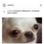 Yuliya Solomonova Instagram - Напиток просто сумасшедший, Почти двенадцать на часах, Шампанское в бокале шепчет, Что праздник только начался. Напейся пузырьков и молний, Шампанским намочи Манту И с наслаждением исполни Свою заветную мечту! . Позвони бывшему, Позвони бывшему, Самому самому Главному бывшему! С кем испытала ты Страсть наивысшую, С кем побывала ты на седьмом небе! . Позвони бывшему, Позвони бывшему! Ещё не забытому, Но явно забывшему. И, вот, ты звонишь ему, И говоришь ему… . И говоришь ему: «Fuck you, baby!» . ❤️❤️❤️ предлагайте шутки на тему «бывший» и 8 добавлю к посту. Внимательно следите за размером. В прошлый раз 90% были обрезаны криво. РЕБЯТА! Внимательно. Опять добавили криво обрезанных.