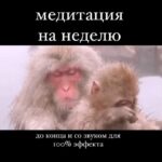 Yuliya Solomonova Instagram – Я согласна с Блиновскою Леной,
Джоном Кехо и феей зубной,
Всё сбывается в этой вселенной,
И она наблюдает за мной. 

Я хочу и карьеру, и внешность,
И вселенная видит запрос.
Только есть небольшая погрешность
Между планом и тем, что сбылось.
 Я мечтала, что парень спортивный
Постучит в мои двери: тук-тук.
Он пришёл и курить запретил мне,
Разогнал моих пьющих подруг.
 Я мечтала о свадьбе на море,
Как у лучших невест на земле,
Быстро кончилась фэшн лав стори,
Но остался кредит на семь лет.
 Ладно с этим кредитом несчастным,
Лишь бы мужа тянуло к жене.
А на деле – наешься борща с ним,
И на прочее сил уже нет.
 И на прочее даже не тянет –
После ужина муж не готов,
Так и спим, обложившись детями,
А проснутся – и снова готовь.

Я мечтала про бизнес в декрете,
Быть онлайн и пописывать в чат,
А реальность – сижу в туалете
С ноутбуком, а дети стучат.

Ожидание – брови на зависть,
И не видно, что это тату,
А реальность – меня повязали
Как шахидку в аэропорту.
 Но потом отпустили, конечно,
Извинились, прислали цветы.
Ну откуда такая погрешность?
Ведь сбываются, вроде мечты!

И живем мы и дети, и мама,
В небольшой, но квартире своей.

Я мечтаю купить добермана,
 Обожаю домашних зверей!

#СолаМонова

ps. Юля это я