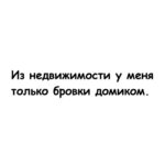 Yuliya Solomonova Instagram – Вип-пентхаус на Арбате
Продает агентство «Тройка»,
Девушка в шикарном платье 
Мне показывала стройку:

Перепрыгивала доски,
Отгоняла туфлей крысу,
В модном платье, как на Оскар
Носят лучшие актрисы.

Говорила: «Эта площадь 
Идеальна для бассейна,
Здесь сосед бельё полощет,
Но соседа мы отселим,

Тут замажут штукатуры,
Тут – шезлонги от Кавалли,
Это памятник культуры,
Но бассейн согласовали.»

Я рулеткой мерил стены,
И жеманно гладил плитку, 
Намекая что системно 
Инвестирую в «элитку»,

Что хочу проект с отделкой,
Пока цены не взлетели,
И готов заняться сделкой
В девять вечера в отеле.

За бутылкой Пино Гридж’о
Мы решим вопрос с бюджетом,
Завтра –  круглый стол в Париже,
Вылетаю личным джетом.

Девушка сказала нежно:
«Крупный бизнес, что поделать,
Понимаю вас, конечно,
Буду в Рэдиссоне в девять. 

Документы подготовлю.
Вот визитки для Ресепшин:
Пусть пропустят  дядю Толю,
Он – лояльный ЭмФэЦешник,

Оформляет удаленно 
И первичку и вторичку,
Он возьмёт с собой Алёну,
Лучшую налоговичку.

В Гос Услугах запись в марте,
Там сидят такие клуши,
А мои – на низком старте,
Приведу к вам самых лучших.

Бабу Клавдию из Сбера
(По крипте и по офшорам),
С ней – нотариус Валера,
С ним –  оценщик дядя Жора. 

Подготовлю счёт к оплате,
При себе имейте паспорт…

Девушка в шикарном платье,
Аппетитна и губаста,

Мой вареник, мой пельменчик,
Моя устрица на ужин…
Девушка, зачем оценщик?

Нет, оценщик нам не нужен!

.
#соламонова
Написала эти стихи 6 лет назад, а выложила только сегодня:) у меня в подписках много риэлторов? Что скажете? Жизненно?