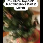 Yuliya Solomonova Instagram - В рот не возьму котлету — Пью теперь только воду. Не похудела к лету — Худею к Новому Году! . Только б хватило нервов Справиться с этим стрессом — Меньше на 5 размеров Платье взяла с разрезом. . Главное — установки, Сахар уже противен. Пусть поразят обновки Всех на корпоративе! . Думаете — не сброшу? Глупость и предрассудок! . Метаболизм хороший, . Есть ещё трое суток! . #снаступающим #соламонова