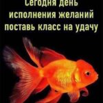 Yuliya Solomonova Instagram - Помнишь, к однокласснице ушёл школьной, А потом вернулся и принёс шубу, Мне, конечно, милый, до сих пор больно, Но и шубу тоже до сих пор ношу я. А когда с танцоршей загулял пошлой, Мне купил машину, чтоб опять вместе. Выходка с танцоршей навсегда в прошлом, А машина вроде ничего – ездит. В августе бухгалтершу свозил в Канны, Хоть её открыто называл серой. Мне, чтоб извиниться, подарил камни: Три карата – в перстень и по два – в серьги. У меня истерика: хожу плачу, Ежели представлю, как тебе стелят. Радует одно: что отписал дачу – Это за рыбалку и за ту стерлядь. Не могу привыкнуть к твоему блуду – Не заставить саблю положить в ножны. С горя ипотечную взяла ссуду, Так что десять лет ещё прощать можно! #семья #стихи #семейнаяпсихология #соламонова