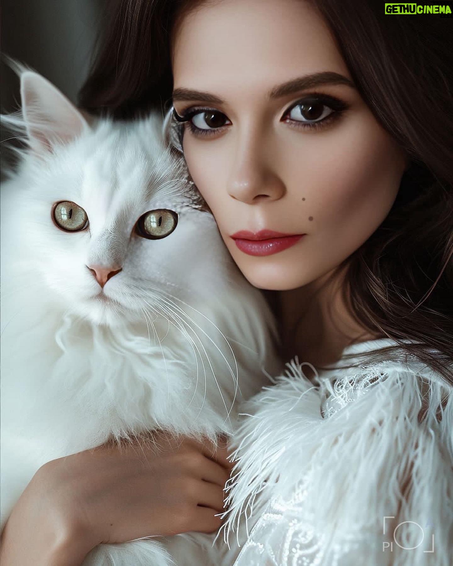Yuliya Solomonova Instagram - 1/2/3/4/5/6/7/8 или 9? сколько в тебе, милый тепла, знаю, что ты не спишь я к тебе иду на мягких лапах и прикасаюсь я твой потерявшийся котёнок, я твой малыш погладь меня, я не кусаюсь Картинки @lola.pidluskaya и её послушные нейросети Помогите выбрать обложку для трека