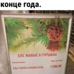Yuliya Solomonova Instagram - В рот не возьму котлету — Пью теперь только воду. Не похудела к лету — Худею к Новому Году! . Только б хватило нервов Справиться с этим стрессом — Меньше на 5 размеров Платье взяла с разрезом. . Главное — установки, Сахар уже противен. Пусть поразят обновки Всех на корпоративе! . Думаете — не сброшу? Глупость и предрассудок! . Метаболизм хороший, . Есть ещё трое суток! . #снаступающим #соламонова