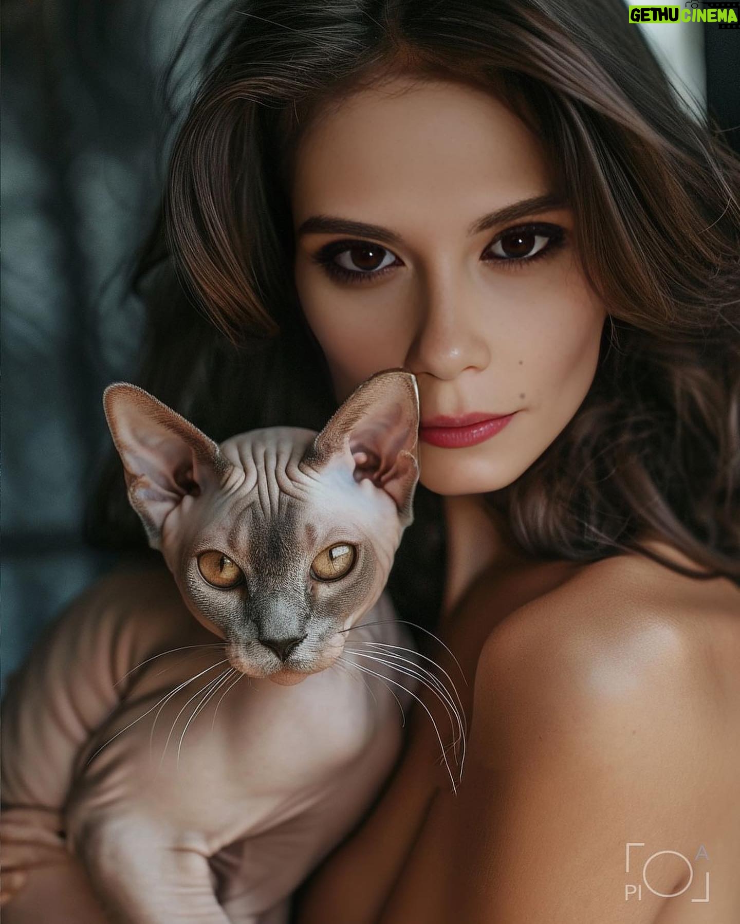 Yuliya Solomonova Instagram - 1/2/3/4/5/6/7/8 или 9? сколько в тебе, милый тепла, знаю, что ты не спишь я к тебе иду на мягких лапах и прикасаюсь я твой потерявшийся котёнок, я твой малыш погладь меня, я не кусаюсь Картинки @lola.pidluskaya и её послушные нейросети Помогите выбрать обложку для трека