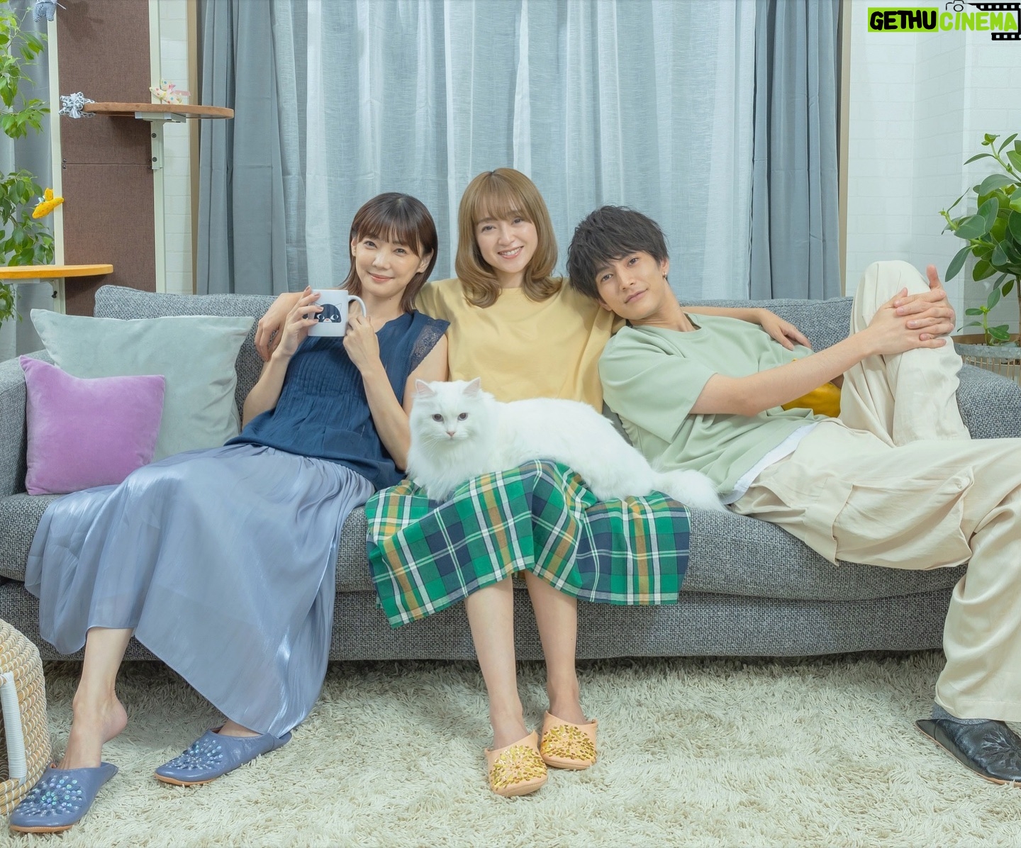 Yumi Adachi Instagram - 💙💛💚 映画「#三日月とネコ」 主人公の戸馳灯を演じます! とびきり可愛いネコ達と、迷える3人の共同生活。 果たして3人は何を見つけて何と向き合って何処へ向かうのか。 2024年5月、劇場でお待ちしてます♪