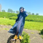 Yumi Adachi Instagram - 💙💙💛 2つめの新アイテム！ @torico_wear #ワンピース