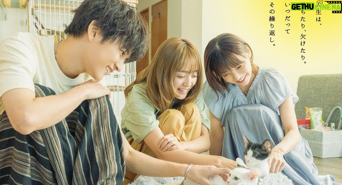 Yumi Adachi Instagram - 🌙🌙🌙 すこし不器用で一生懸命な3人と、愛おしい猫たち。 映画 #三日月とネコ 5月24日公開!