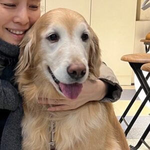 Yuriko Ishida Instagram - 疲れが取れないなぁ、寝ても寝ても眠いなぁ、
何より頭がスッキリしない…と実はここ最近
思ってました。
そんな話を、パーソナルトレーナーの先生に話したら
ゆりこさんそれは、やはり呼吸ですよ！と。
呼吸＝瞑想＝マインドフルネス。
2秒で鼻からゆっくり吸って、13秒で口から(鼻からでも良し)ゆっくり吐く。
心の中でひたすら数をカウントする。
雑念が湧いてきても、とにかく呼吸に集中。
これを10分。できたらほんとは30分。
びっくりするくらい頭がスッキリするのです。
結局、わたしは頭が酸欠だったのかもしれない…。
呼吸が大切なのは昔からわかっていたのに、
あまりに、身近な方法すぎて、ちょっと忘れてた。
自律神経を整えることは本当に大切ですね…👏🏻😭
写真は、うちの雪です。優しい雪。
#呼吸
#マインドフルネス呼吸法
